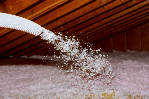 Best Insulation Installation Services in Norris, TN